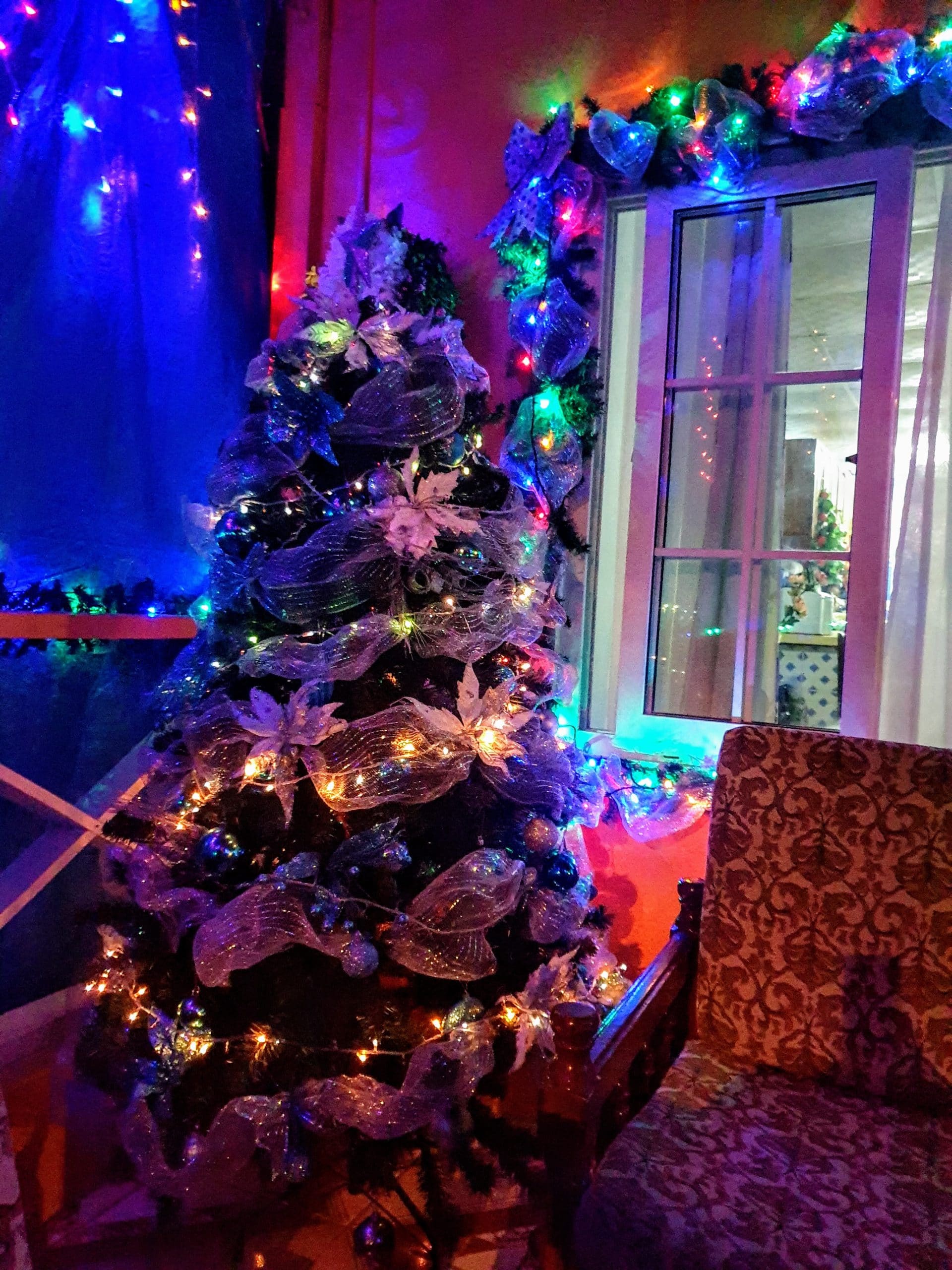 Feliz_Navidad-scaled
